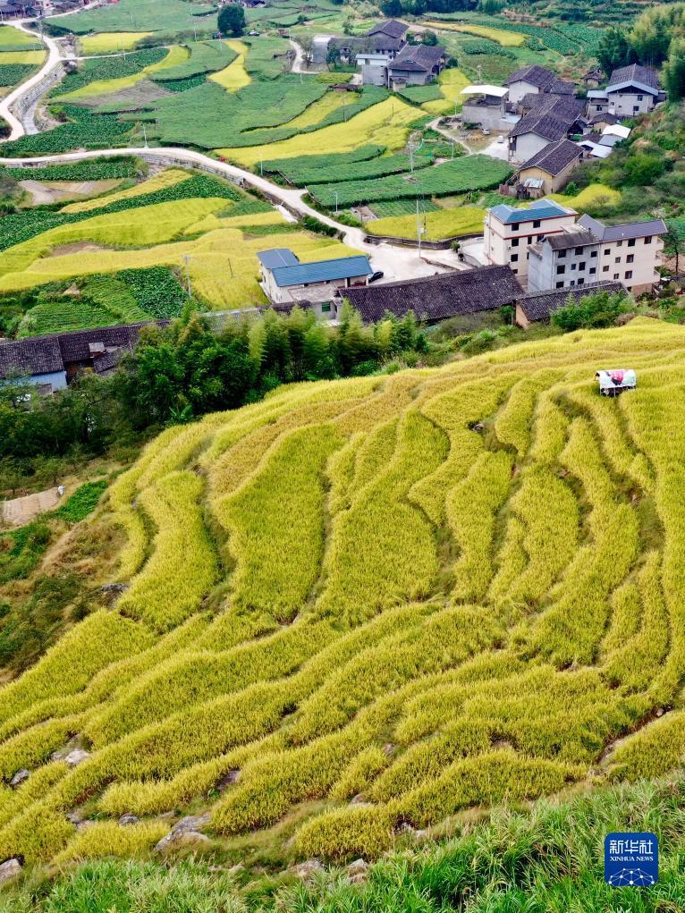 新疆百家乐